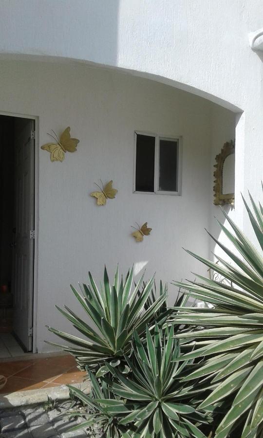 شقة Casa Mariposas كانكون المظهر الخارجي الصورة